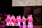 Ferdis_IMG_6 092