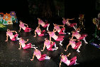 Ferdis_IMG_6 110